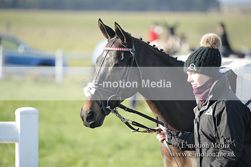 PtP 011219-0031 - Hursley Hambledon Hunt Point-to-Point 01/12/19