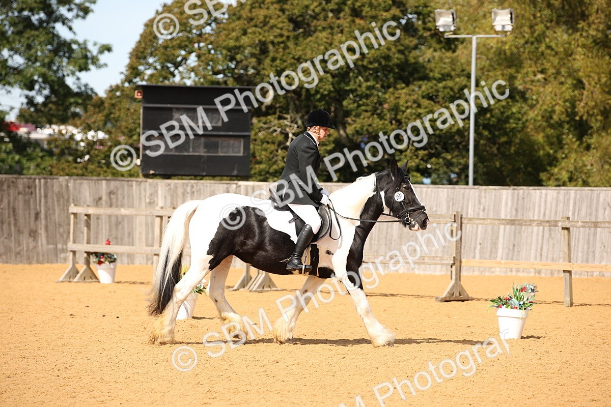 SBM_21846 - D5 - Small Tour Championship - Intro C
