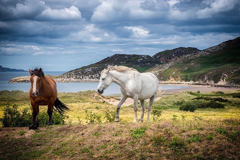 MF1_7140-Edit - North Inishowen
