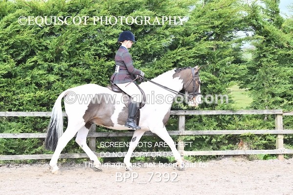 BPP_7392 - RING 1  (RIDDEN HORSES / IN HAND / VETERAN ETC)