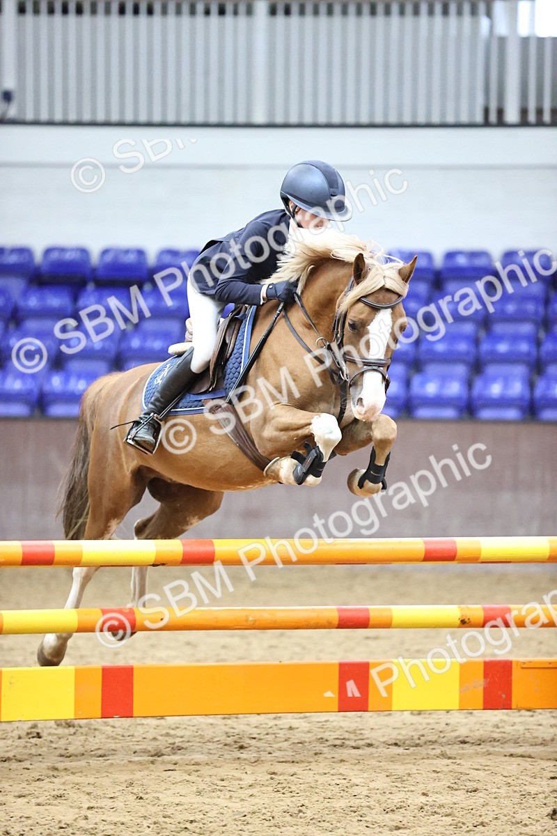 SBM_003181 - Class 10 - STX UK Pony British Novice 80cm