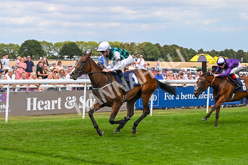 140825-Race 1-Catching The Moon-0298 - Race 1