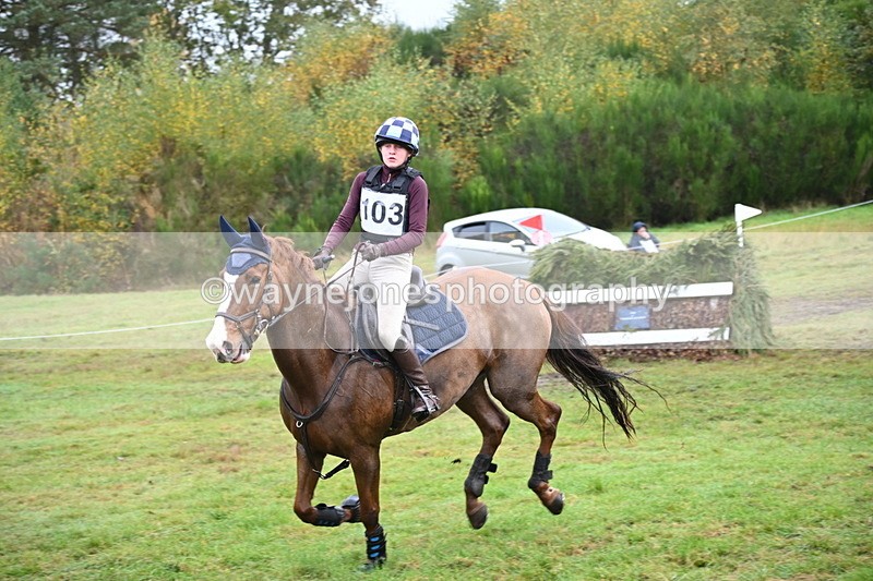 WJ6_1679 - 80cm Cam 1 Time 10:08 to 10:45