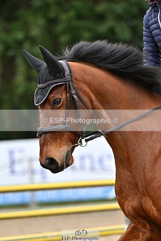 250201A-122011-00650 - Cls 02 Local Horse 100cm