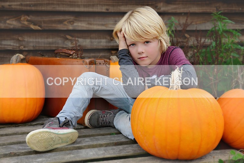 DSC_8786-3 copy - SEASONAL OUTDOOR SHOOTS - PUMPKINS