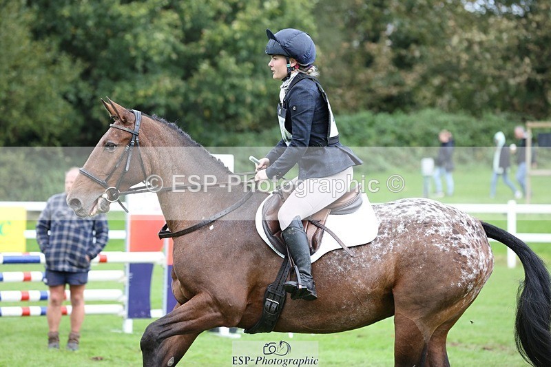 231022-133323-27766 - 482-ODDSPOT.VITAL.ELEMENT-Danielle.Davies-TrotUp+SJ