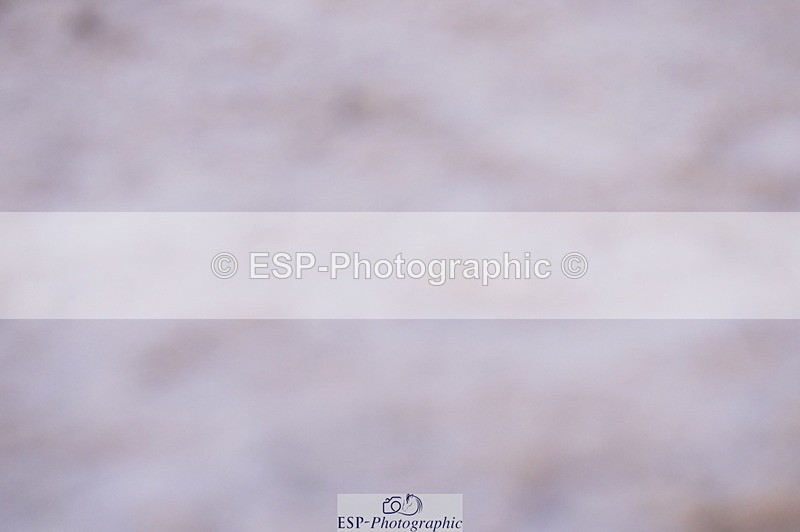 240802A-192438-06216 - Cls 20 Area Trial