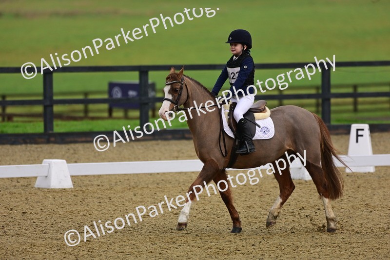 20260125-0650 - Class 9b - Walk Trot Unassisted