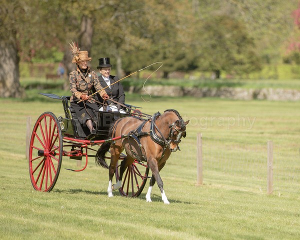 Attelage -791 - CIAT Glamis 2026