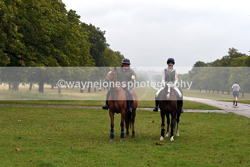 TT3_8039 - Time at Crossing 09:15 to 10:15