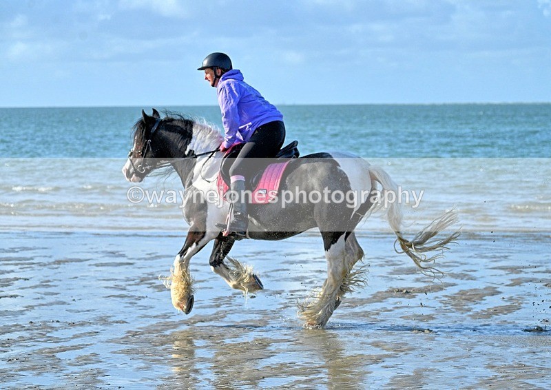 WJ7_3269_1 - Kellie & Churchill ... do Hayling Island 25-08-24