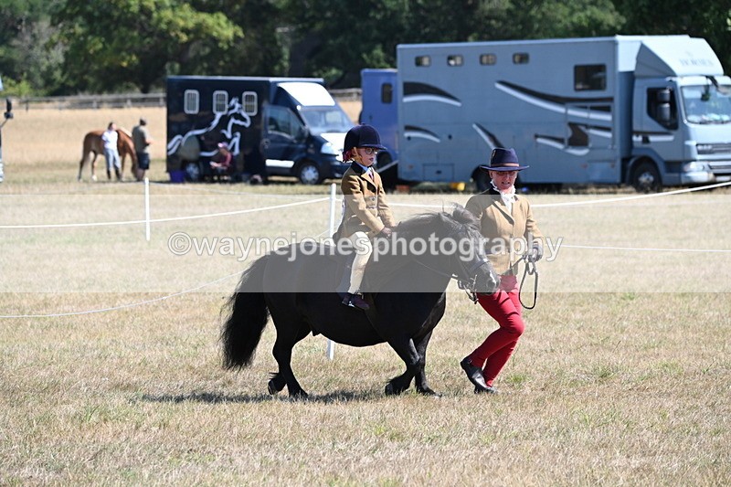 WJ6_7710 - Class 36 Lead Rein