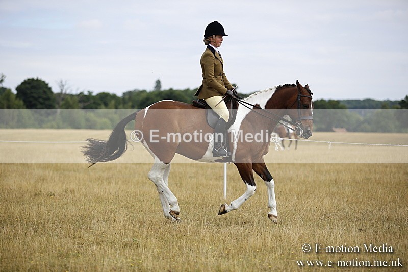 _C7A9485 - BVRC Show 2018 Ring 1