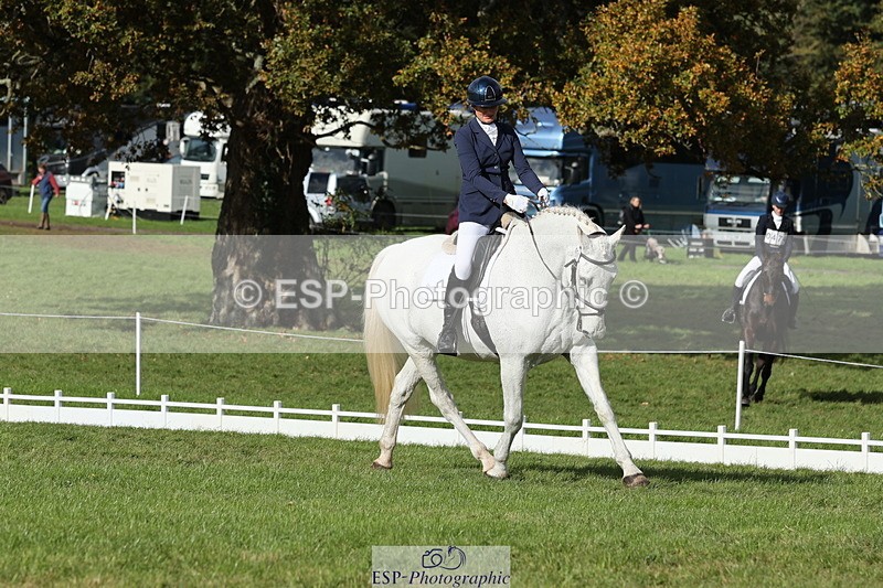 251024A-133037-12591 - H-651-Victoria.Tar