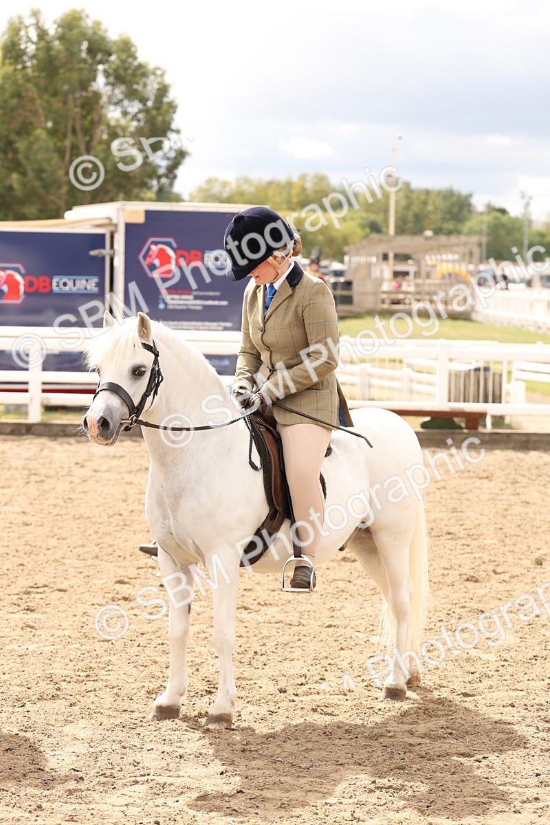 SBM_05183 - Class 56b -  Style & Performance - 50cm (20+)