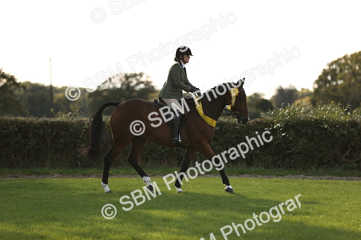 SBM_26507 - S6 - Novice & Newcomers Ridden Horse