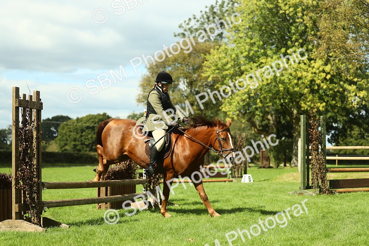 SBM_42889 - S30 - M&M Working hunter Pony