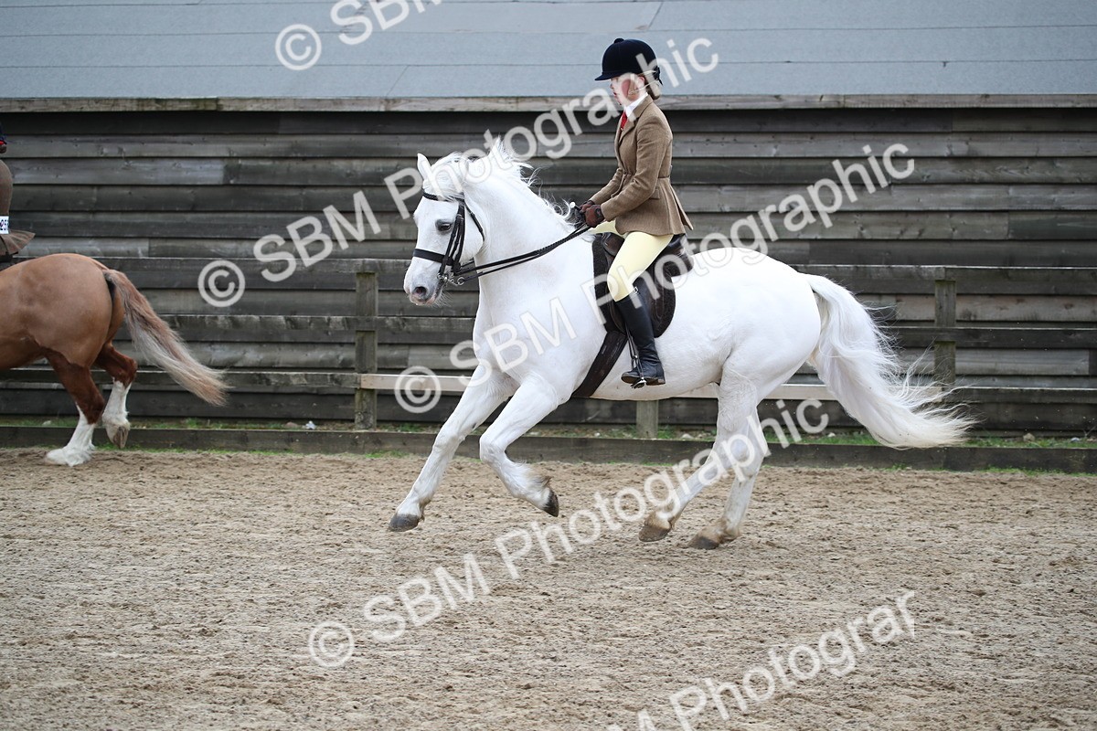 SBM_006156 - Class 10-13 - RIHS Small Large Breeds
