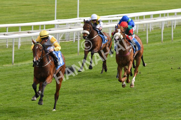 yr12052021r5-9 - Race 5 3.40pm Sky Bet Stakes