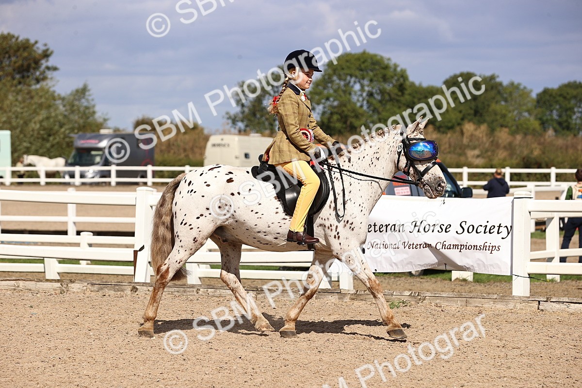SBM_12896 - Class 409 - Grassroots Ridden - Pony