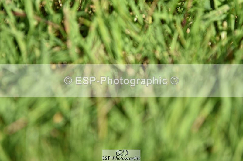 240605-164634-01451 - Cls 11-13 FEI PSG and Inter