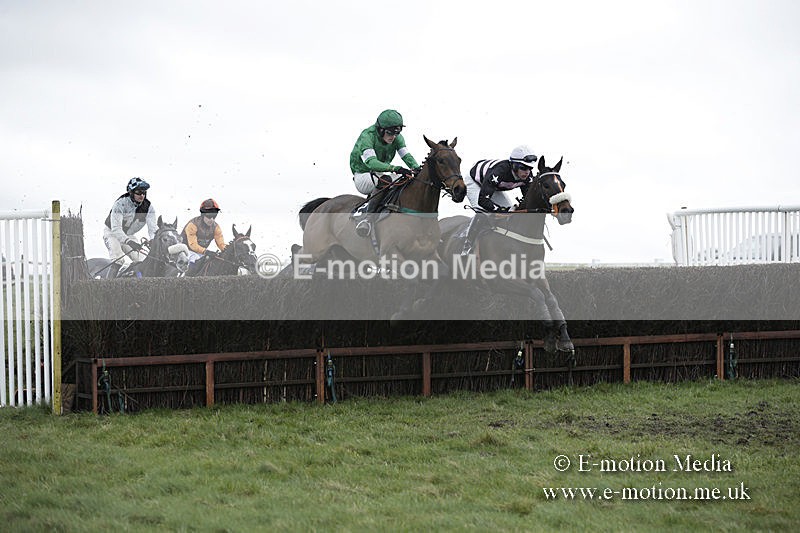 PtP 150320 0480 - New Forest Point-to-Point Larkhill 15/03/20