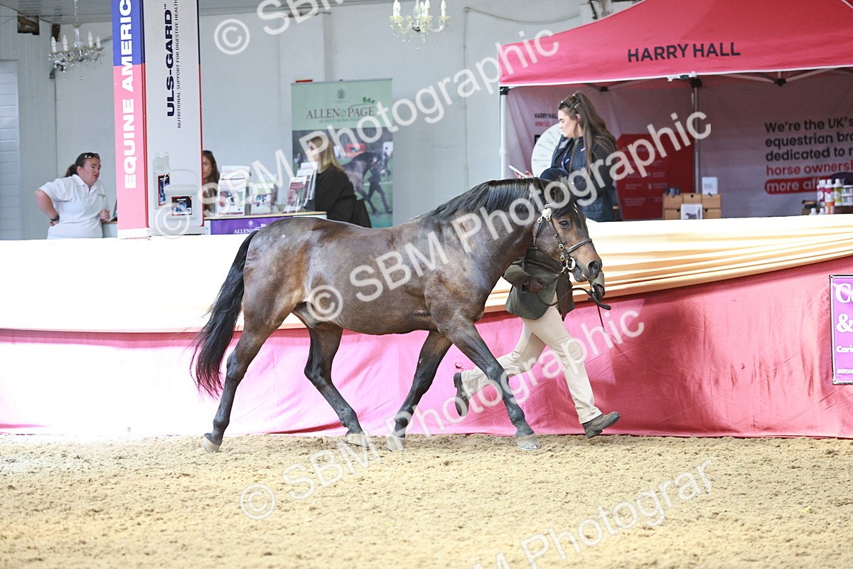 SBM_04734 - Class 7R - Regional IH Diamond