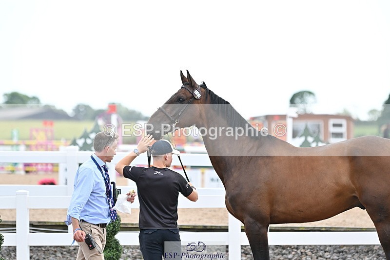 240717A-142504-02060 - Trot Up 2pm to 3pm - This folder is not in time order