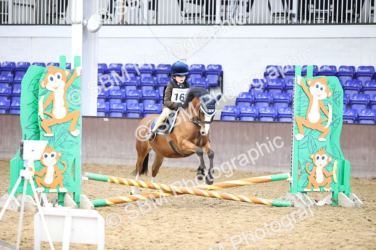 SBM_000262 - Class 2 - The Rug Lady 40cm Area 12 Championship Qualifier