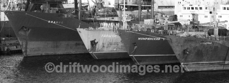Murmansk four ship bows bw - Murmansk, Russia