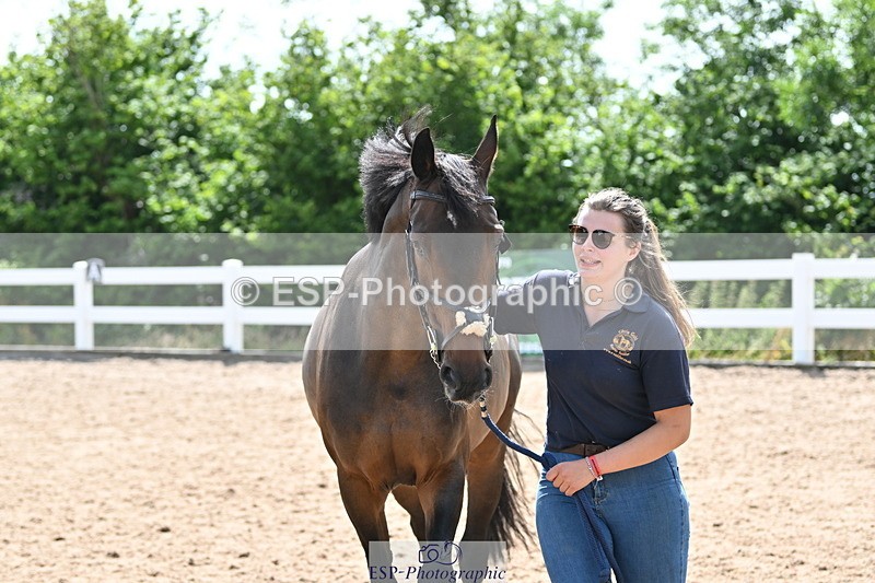 240717A-152220-02789 - Trot Up 3pm to 4pm