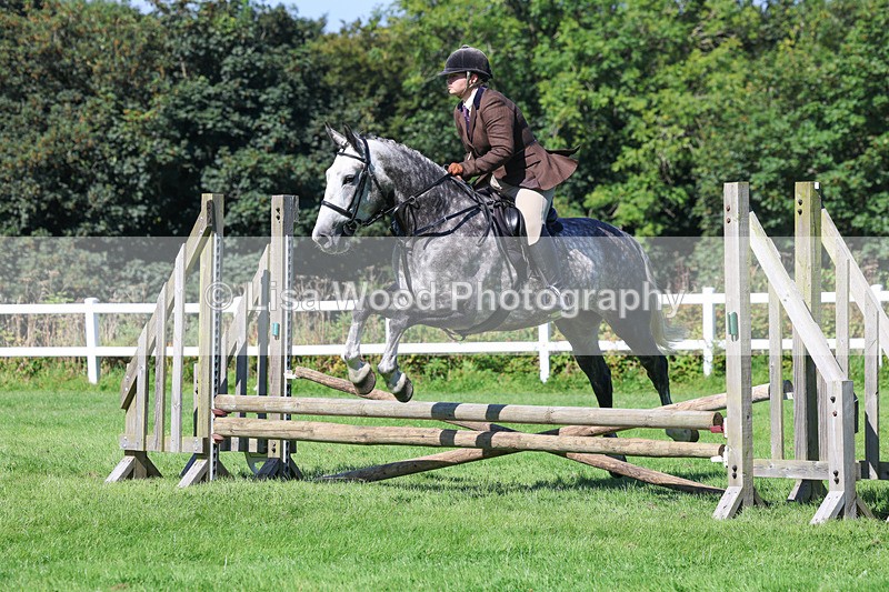 3E7A8277 - Class 4: Novice working Hunter