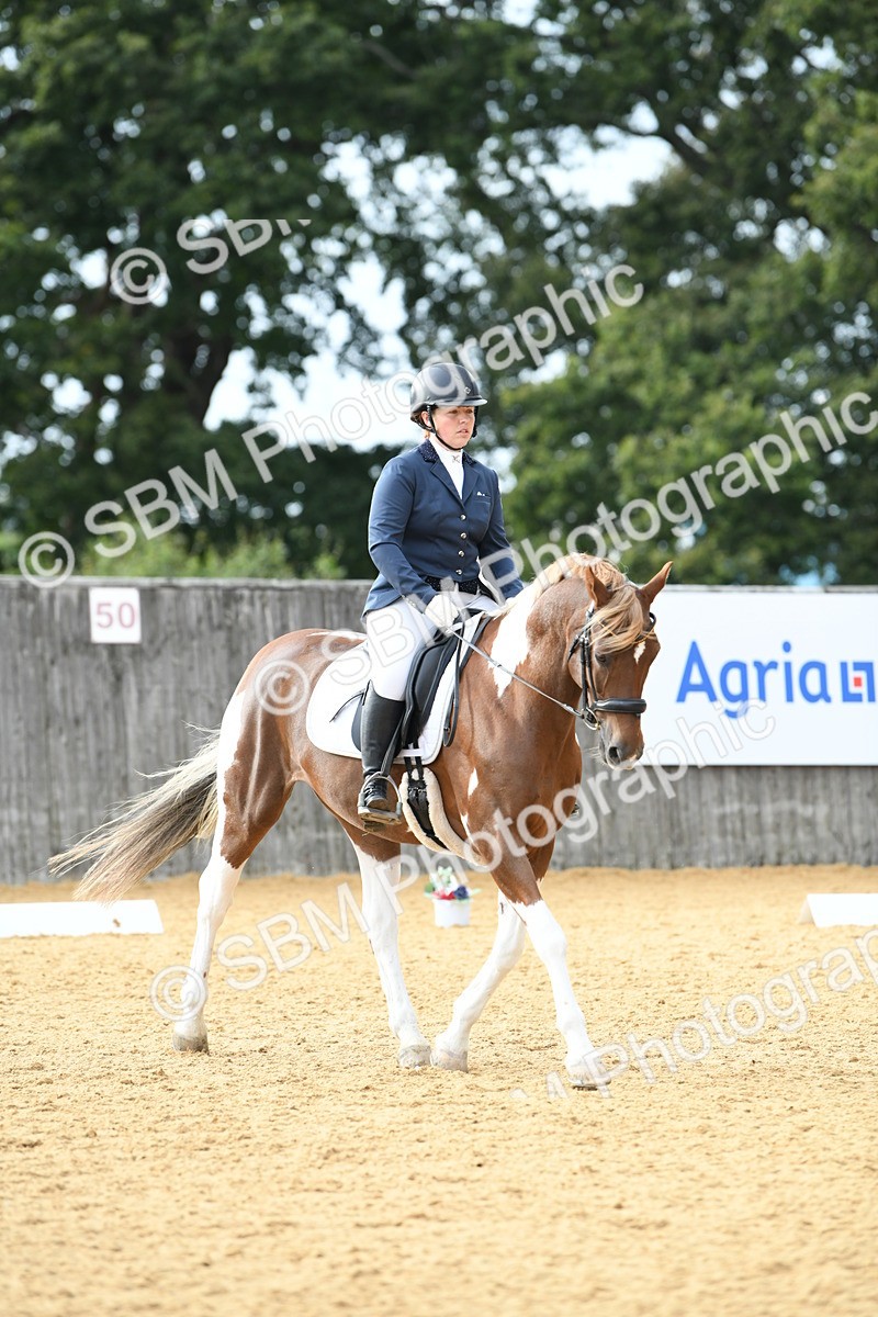 SBM_11034 - D28 Elementary Taster Elementary 42