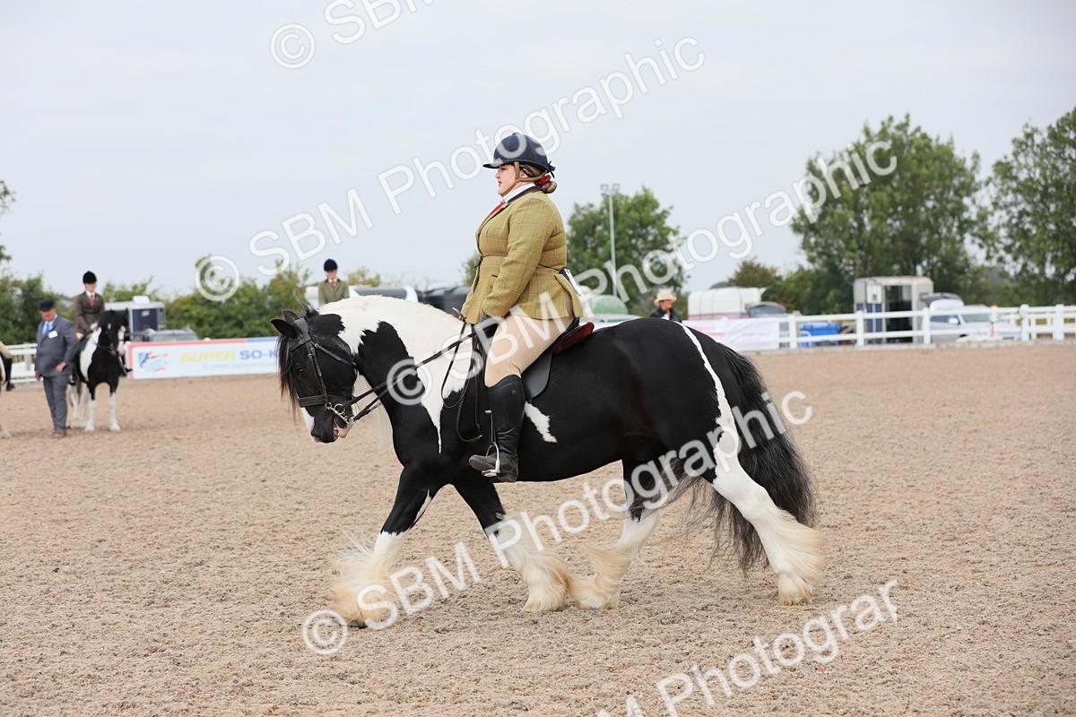 SBM_12756 - Class 307 Ridden Coloured Pony