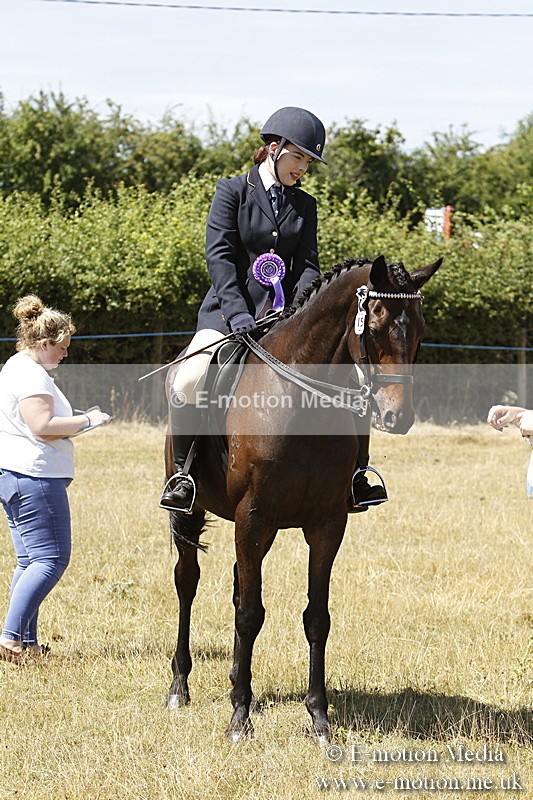 _BS_0876 - BVRC Show 2018 Ring 1