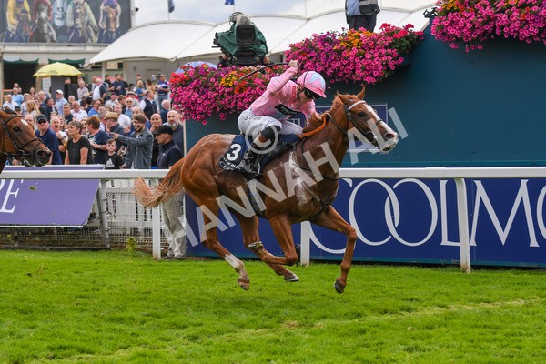 250823-Race 4-Live In The Dream-0678 - Race 4 3.35pm Coolmore Wootton Bassett Nunthorpe Stakes