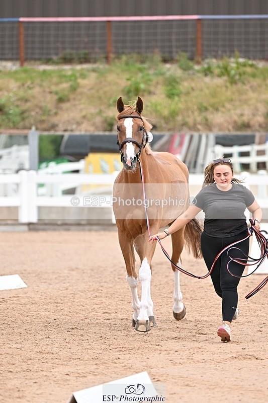 250716-140007-00853 - Trot Up 1.30 to 2.30