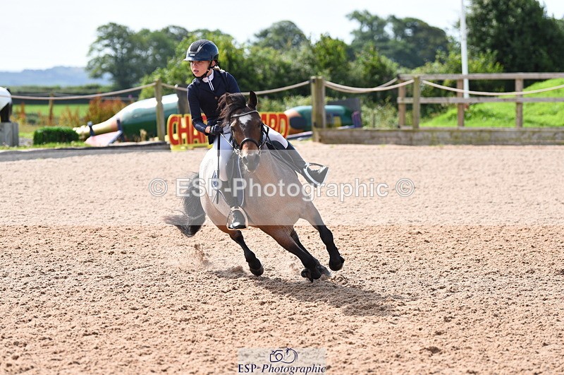 230716A-100348-01946 - Cls 35 Springboard 128cm & 138cm