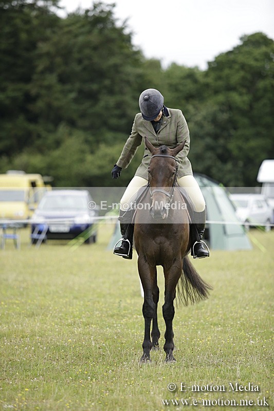 BVR160717-464 - Ring 1 BVRC Show 16/07/17