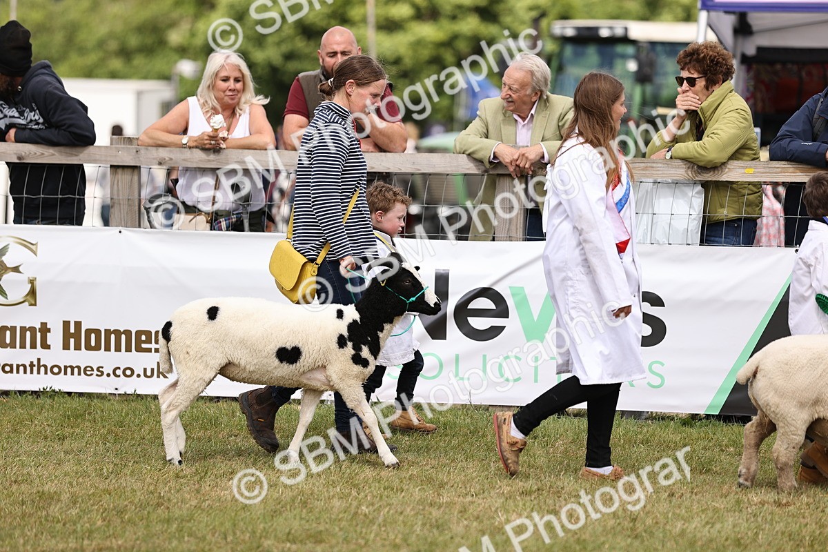 SBM_16849 - Grand Parade