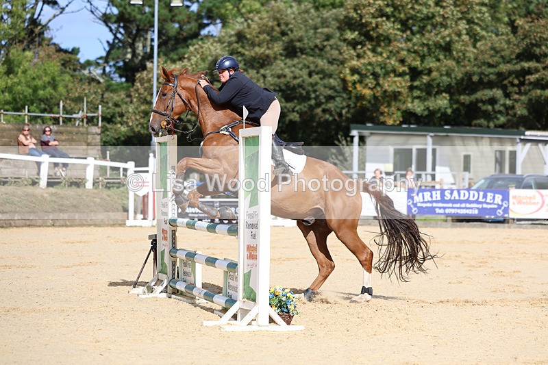3E7A2113 - Class 4: Senior British Novice/90cm open