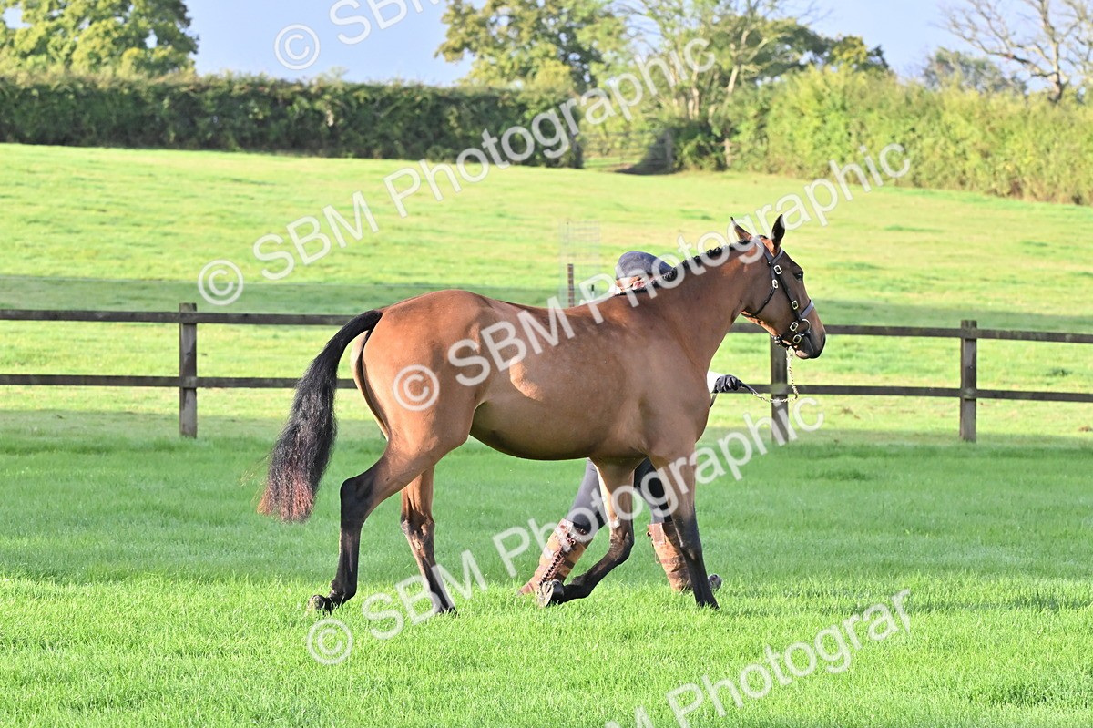 SBM_32593 - S15 - Top Turnout In Hand