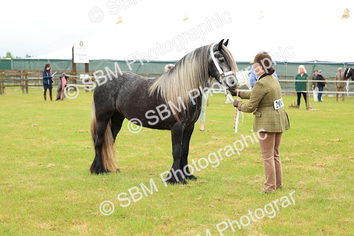SBM_00387 - Class 58-67 - M&M Non Welsh Pony In hand
