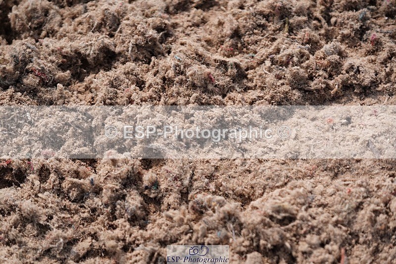 250608-093644-01730 - Cls 4 Pony British Novice and 80cm