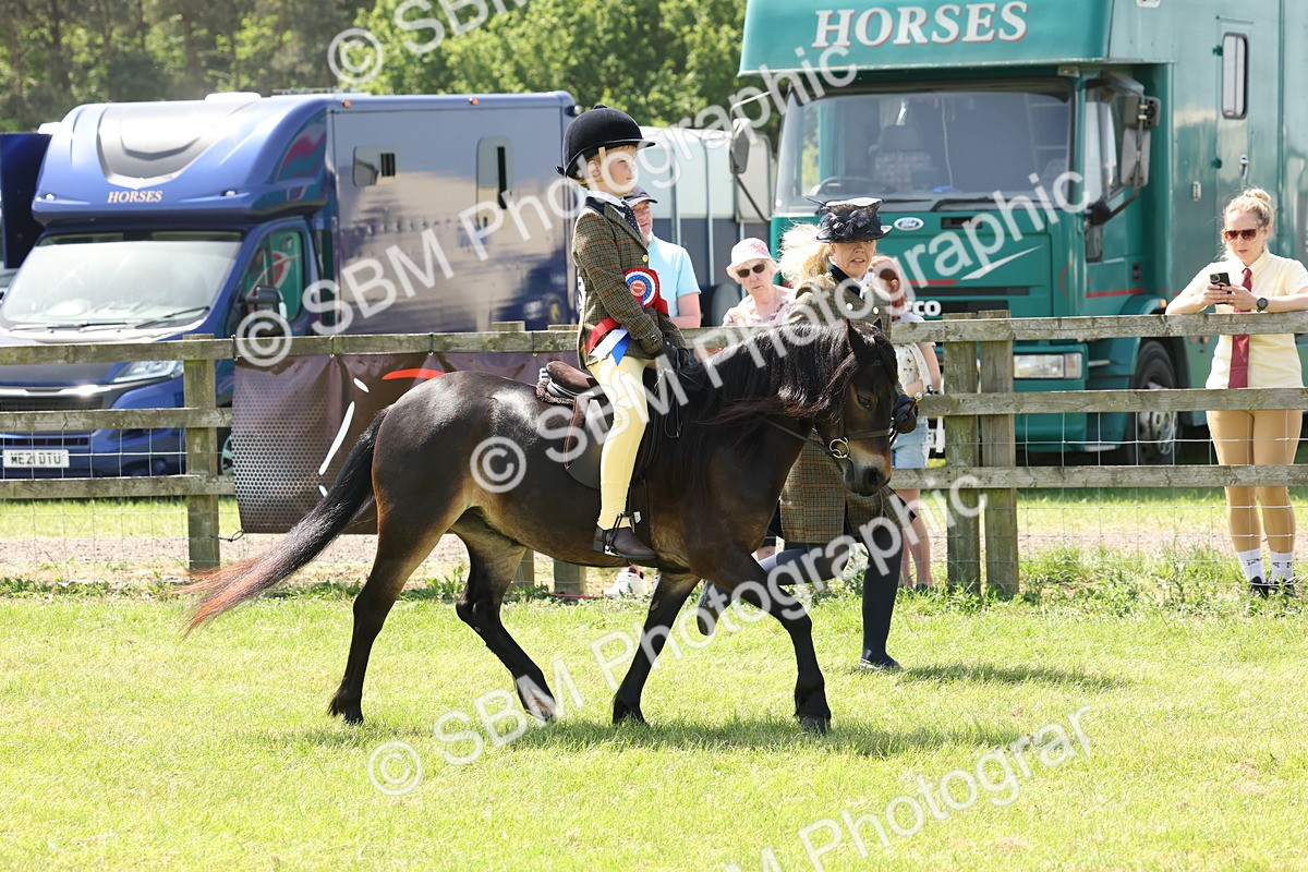 SBM_05428 - Class 24-25 - Mountain & Moorland In Hand Lead Rein and First Ridden