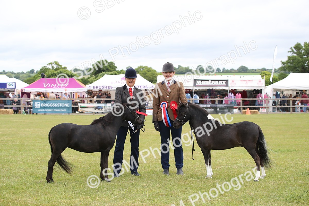SBM_03578 - Class 23-25 - British Miniature Horse of the Year