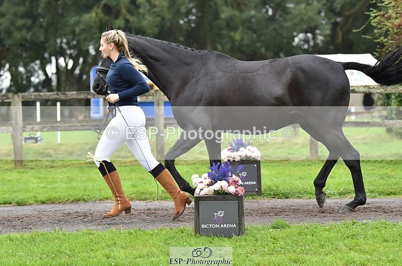 231018-124000-00435 - 053-WISHING.TIME-Holly.Law-TrotUp