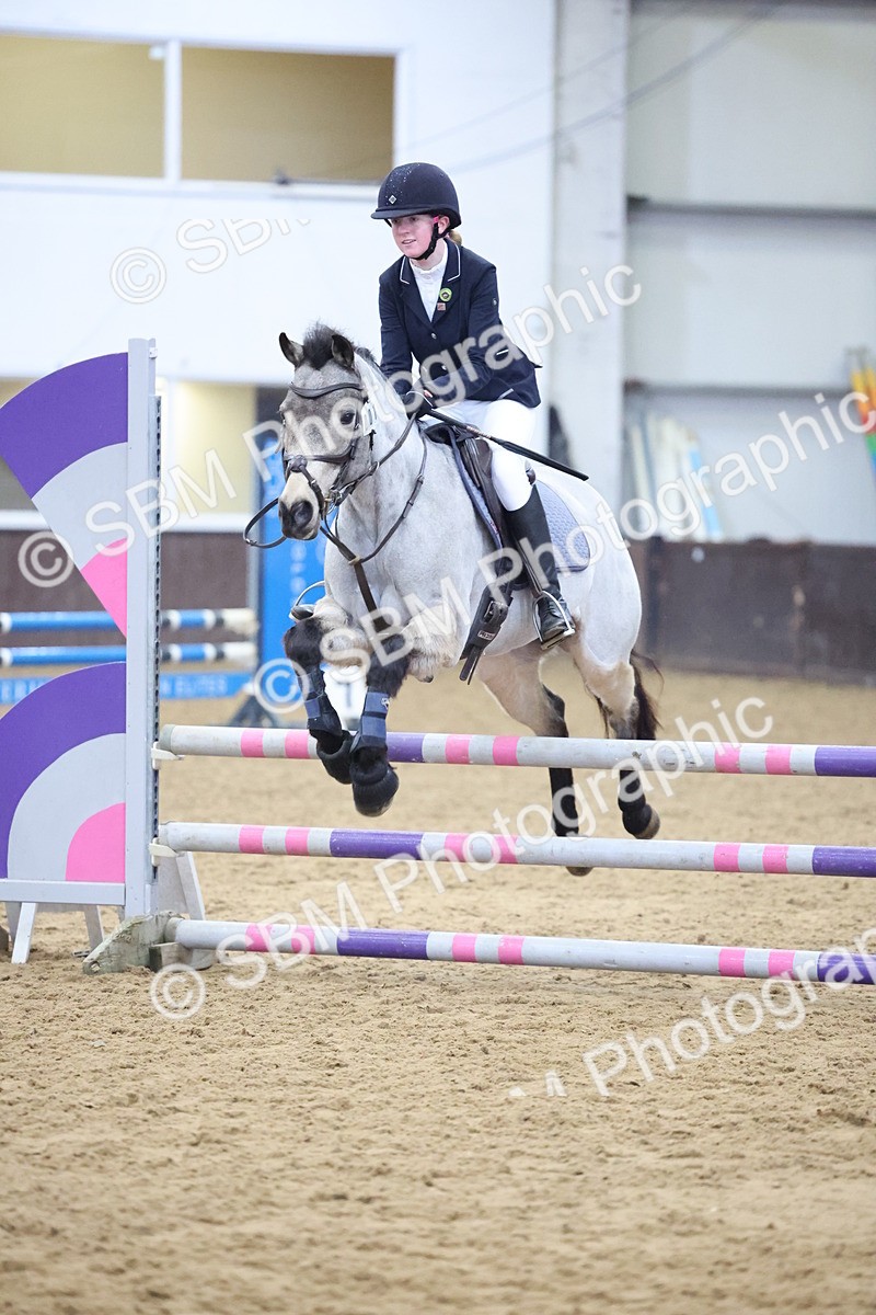 SBM_001589 - Class 2 - STX UK Pony British Novice - 80cm