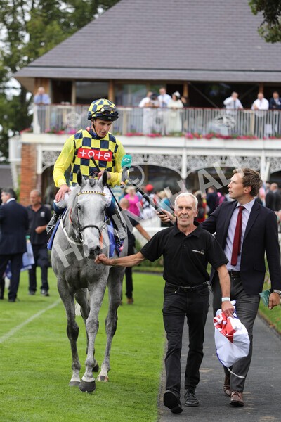 yr17082022r5-72 - Race 5 4.10pm Sky Bet Stayers Stakes