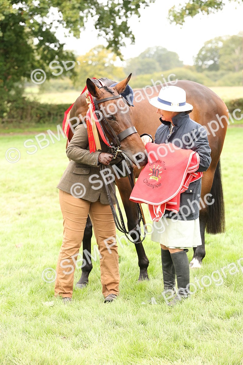 SBM_60862 - In Hand Horse Supreme Championship